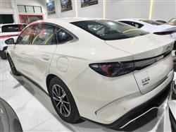 بي واي دي سيل 06 DM-i